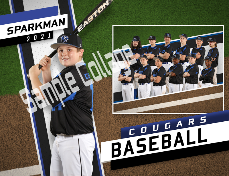 SMS 2021 Baseball Pictures are Ready to Order!!! - Blog - Shuttleman ...